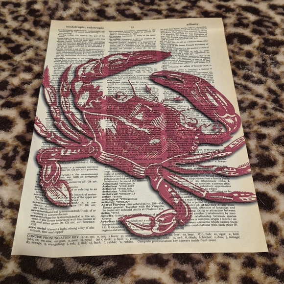 2 Ocean Life Book Art Prints - Picture 8 of 12